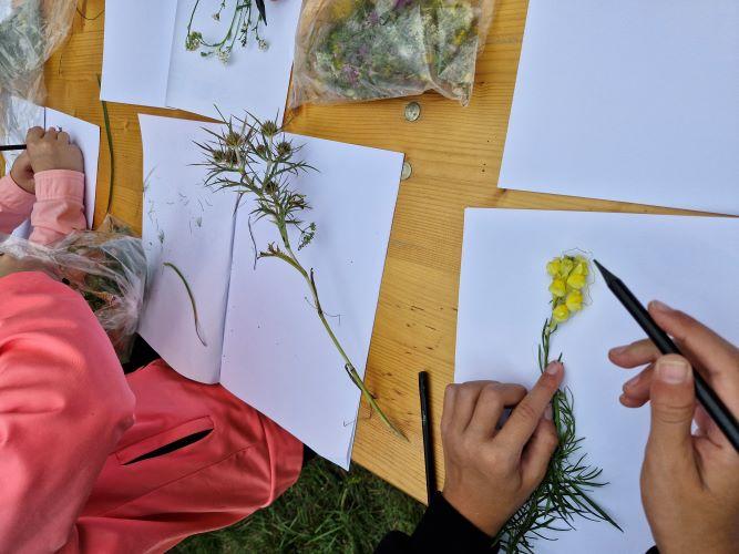 Delavnica z učenci OŠ Divača - izdelava herbarija in spoznavanje življenja v kalu