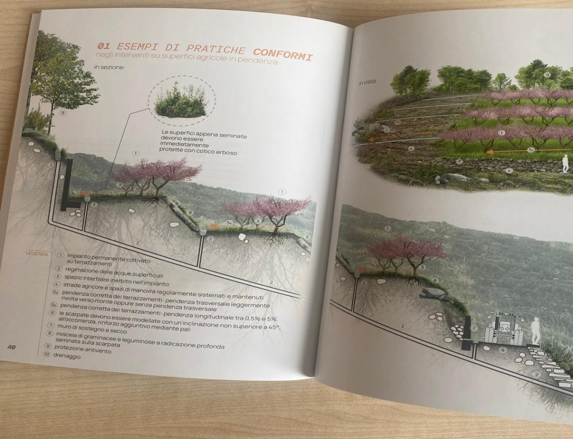 Pubblicazione: “Proteggiamo la terra dove nasce il futuro”