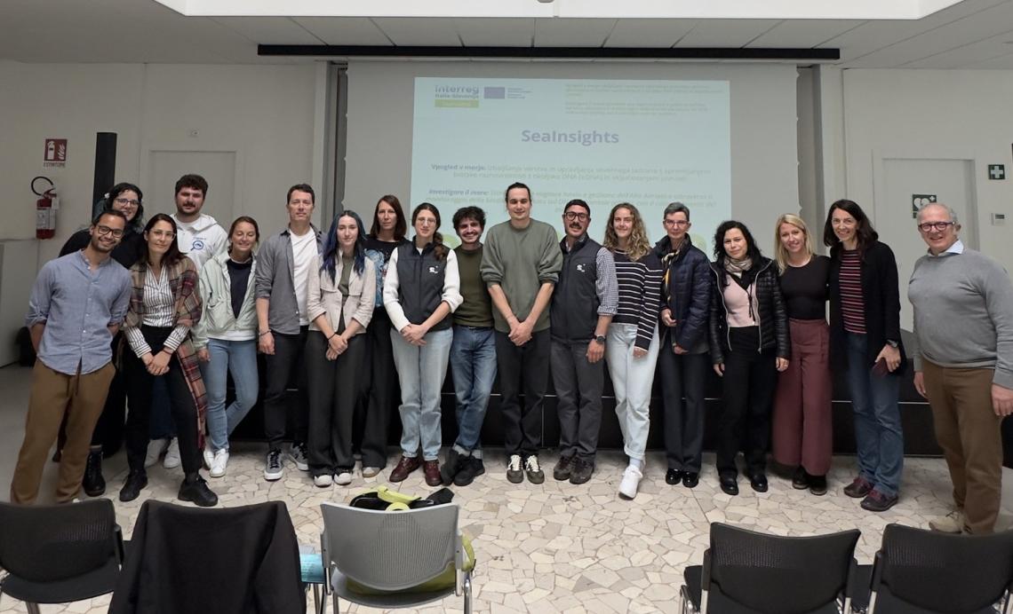 SeaInsights