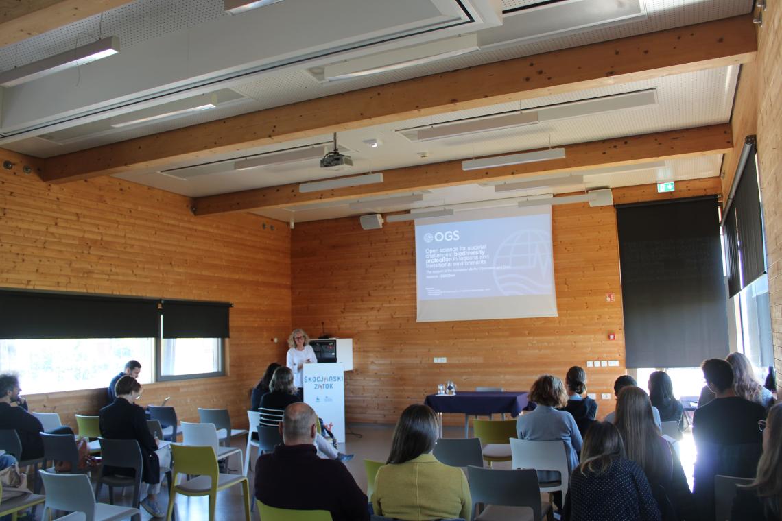 Sala a Capodistria dove si è svolta la formazione