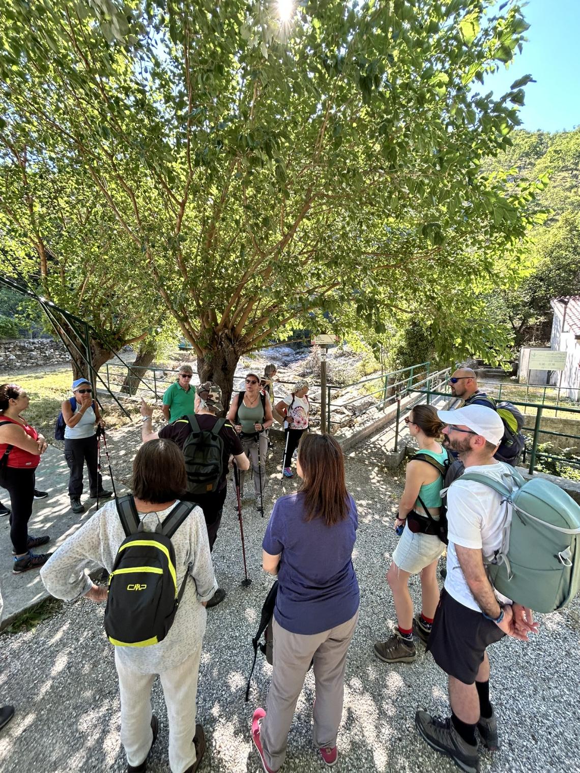 I MULINI DEL ROSANDRA 