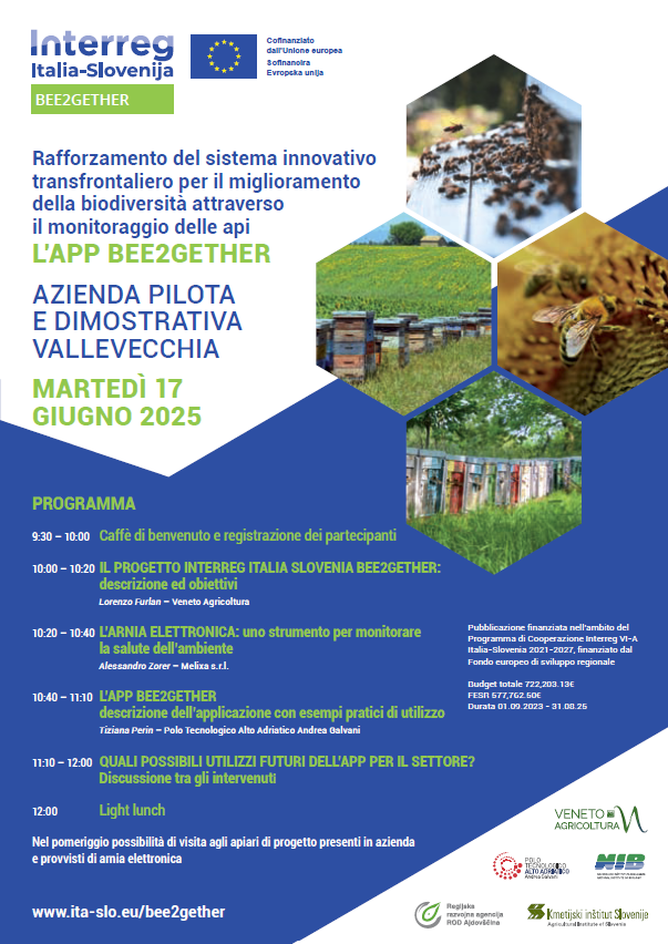 vallevecchia 2