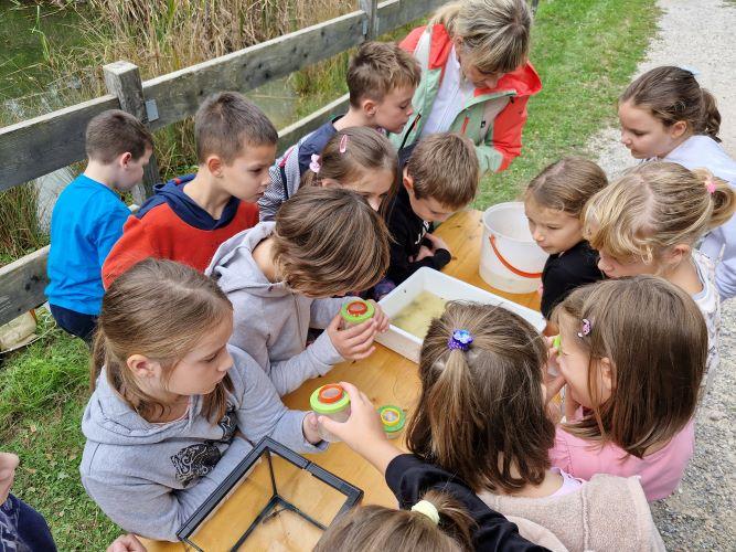 Delavnica z učenci OŠ Divača - izdelava herbarija in spoznavanje življenja v kalu