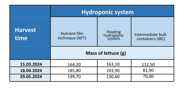 Table: Lettuce yield in different aquaponic systems