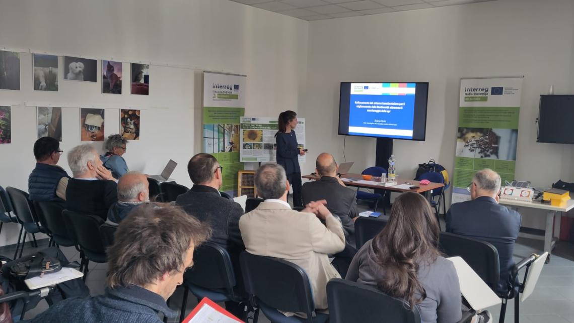 seminario pagnacco 2