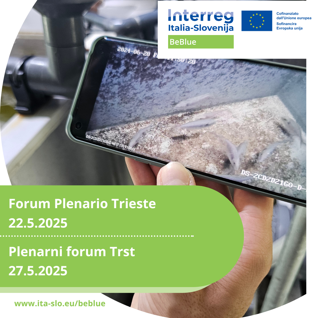 Plenarni Forum