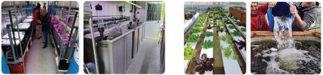 See the details here