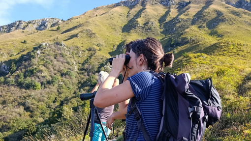 Watching the birds of the grasslands