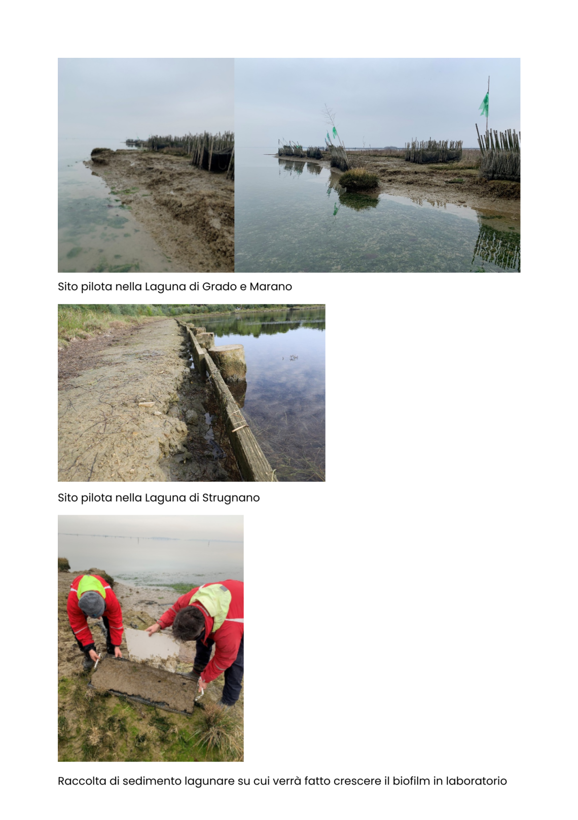 siti pilota di BioTiles