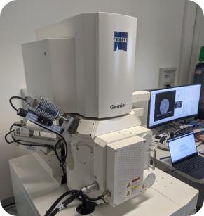 Zeiss SEM Gemini 300 SEM/CLEM