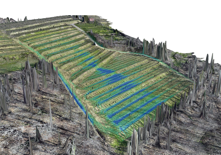 Quando l’acqua disegna percorsi tra i vigneti: la scienza nella lotta contro l’erosione