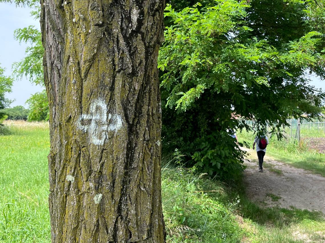 WALK2SPIRIT