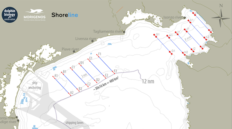 SeaInsights_sampling1