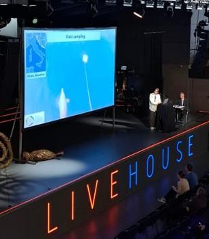 SeaInsights