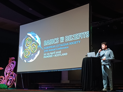 SeaInsights