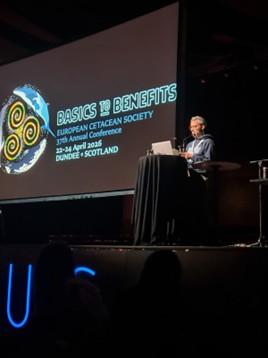 SeaInsights