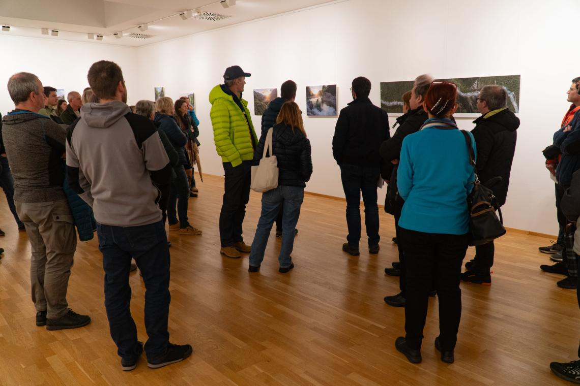 Mostra a Tolmino
