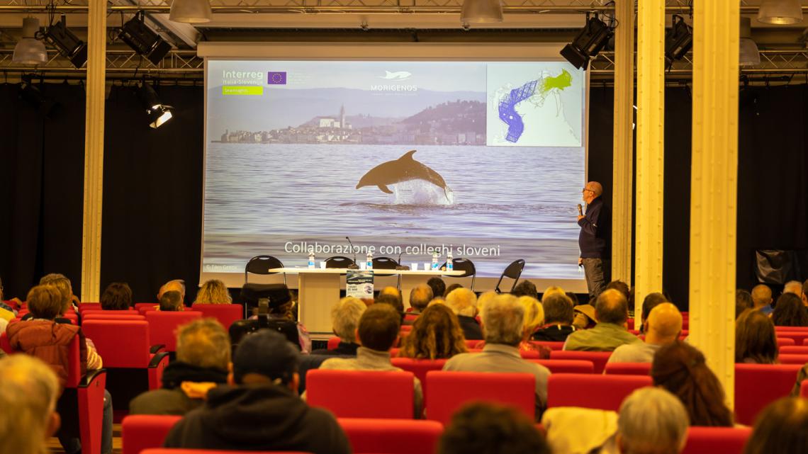 SeaInsights in Barcolana1