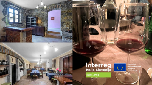 IRRIGAVIT wine tasting 2