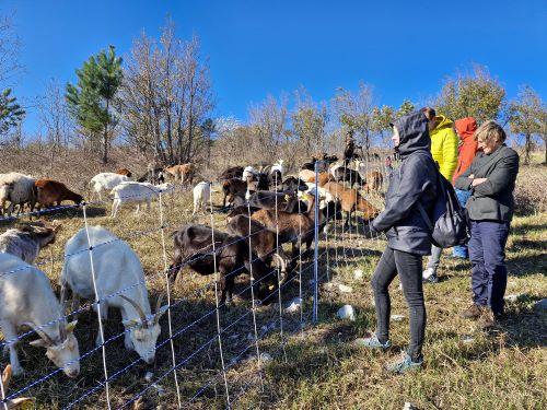 Ogled površin kmetije Domačija Čilčevi