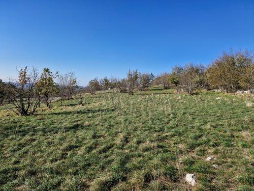 Ogled površin kmetije Domačija Čilčevi