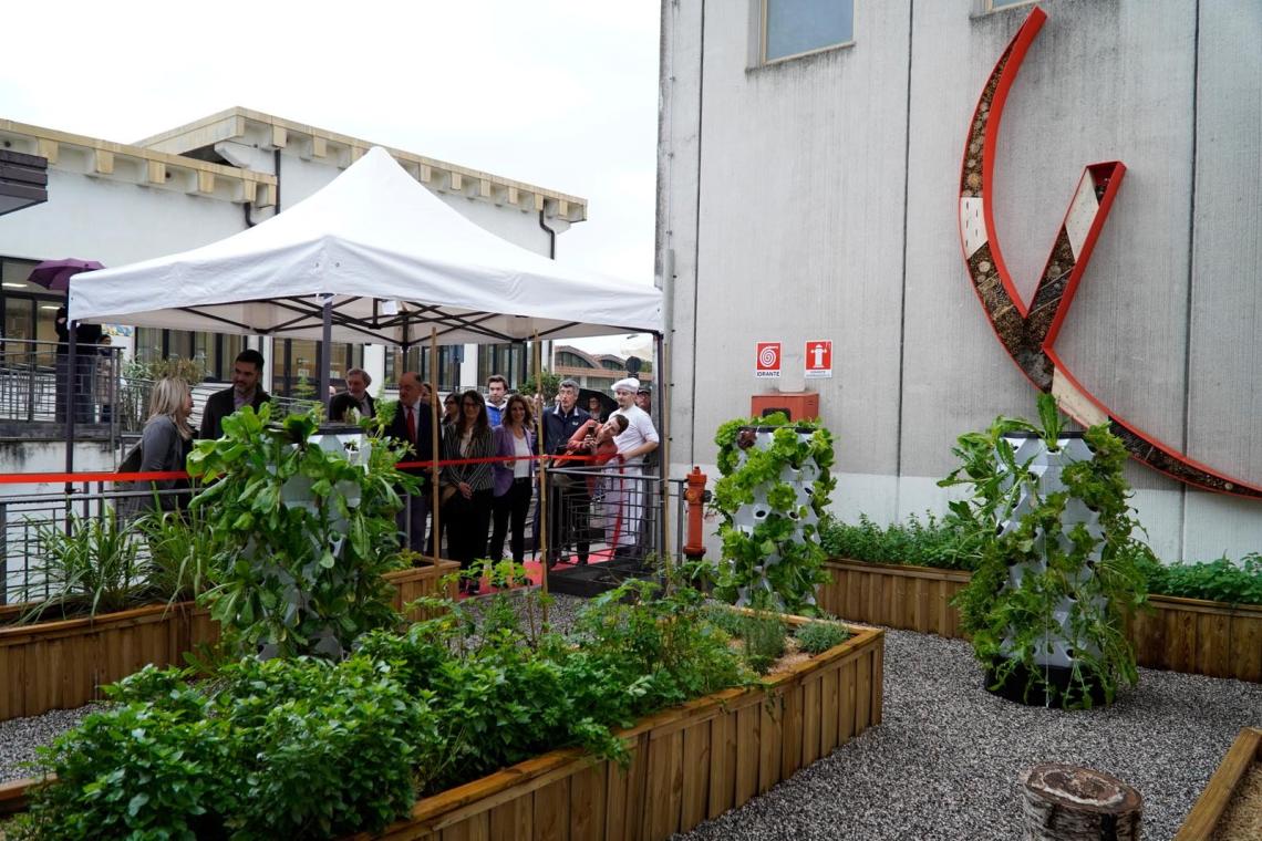 The didactic vegetable garden