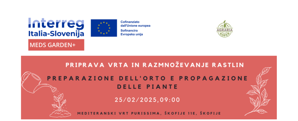workshop 25-2-25 ore 9