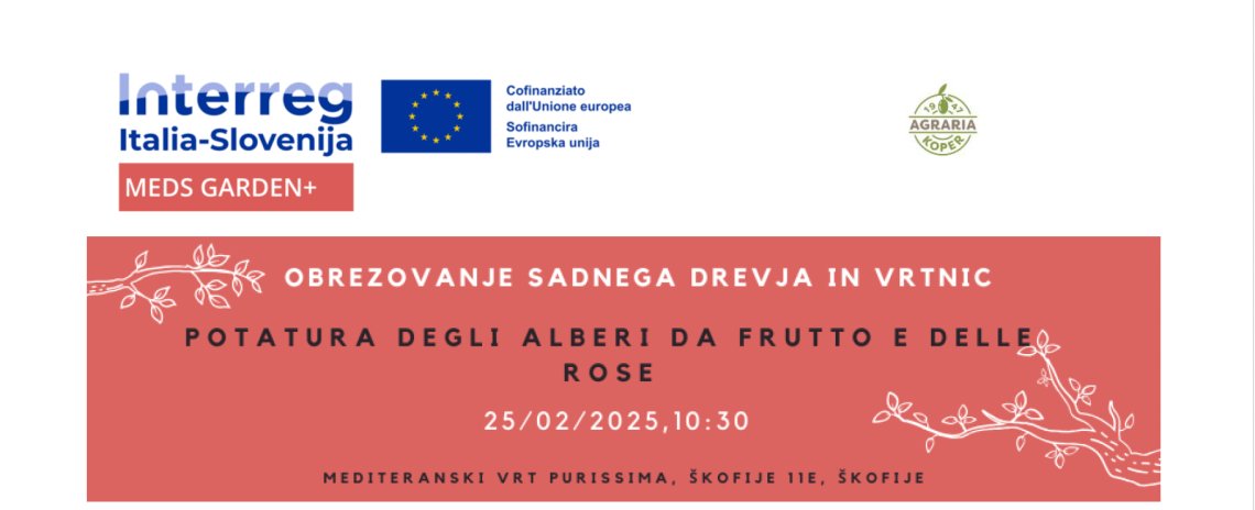 Workshop 25-2-25 ore 10-30