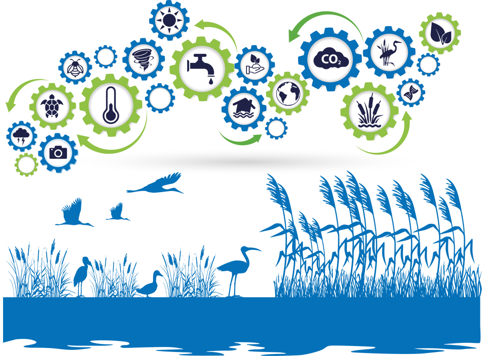 eco-smart portal