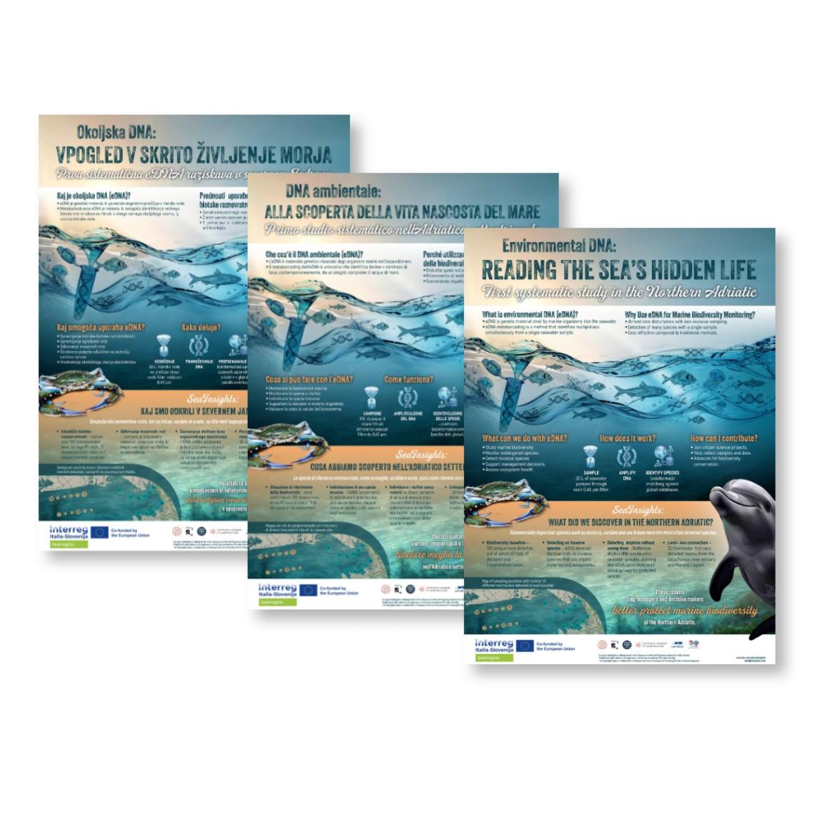 SeaInsights