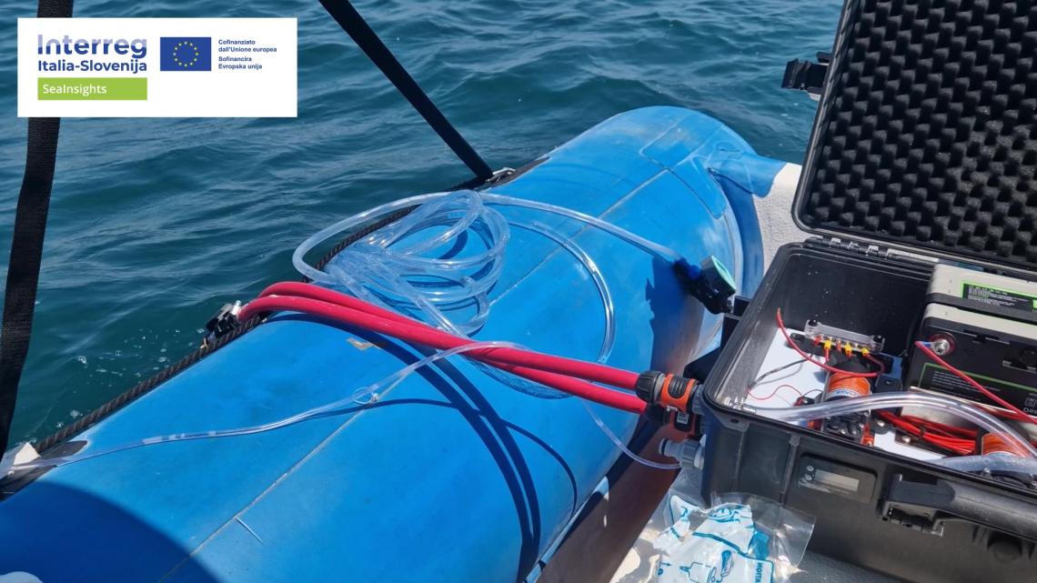 SeaInsights