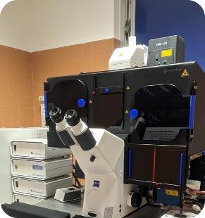 Zeiss Structured Illumination Microscope